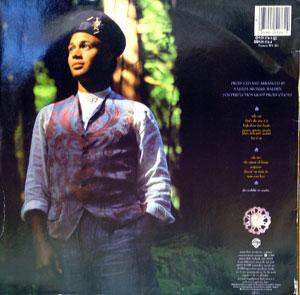 Back Cover Album Narada Michael Walden - The Nature Of Things