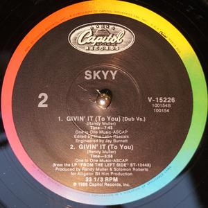 Back Cover Single Skyy - Givin' It To You