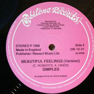 Back Cover Single Fields Richard Dimples - Beatiful Feelings