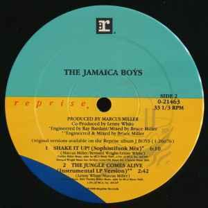 Back Cover Single The Jamaica Boys - Shake It Up