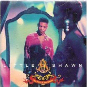 Front Cover Album Little Shawn - The Voice In The Mirror