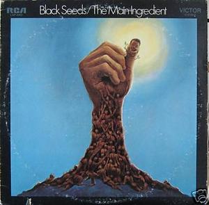 Front Cover Album The Main Ingredient - Black Seeds