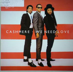 Front Cover Single Cashmere - We Need Love