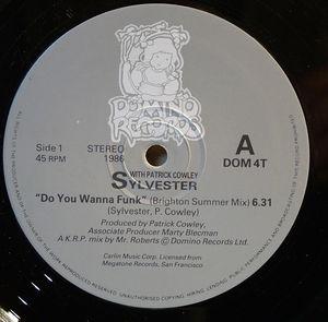 Front Cover Single Sylvester - Do You Wanna Funk (brighton Summer Mix)