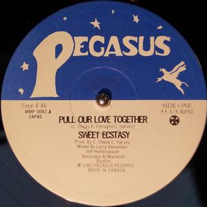 Front Cover Single Sweet Ecstasy - Pull Our Love Together (US)