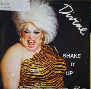Front Cover Single Divine - Shake It Up