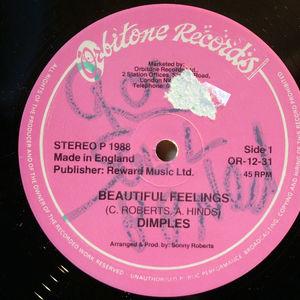 Front Cover Single Fields Richard Dimples - Beatiful Feelings