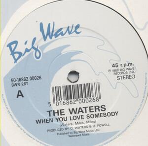 Front Cover Single The Waters - When You Love Somebody